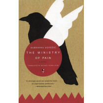 Ministry of Pain. A Novel