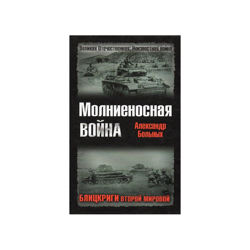 Molnienosnaia voina. Blitskrigi vtoroi mirovoi [Lightning War]