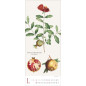 Botanicum 2026 (large)