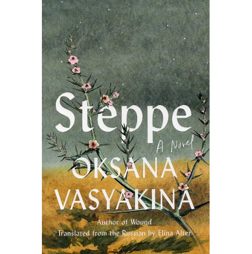 Steppe: A Novel [Step']