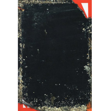 Baron Wenckheim's Homecoming