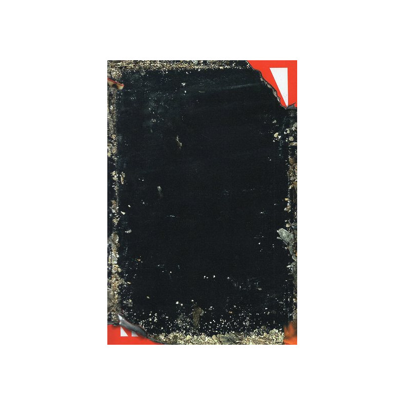 Baron Wenckheim's Homecoming