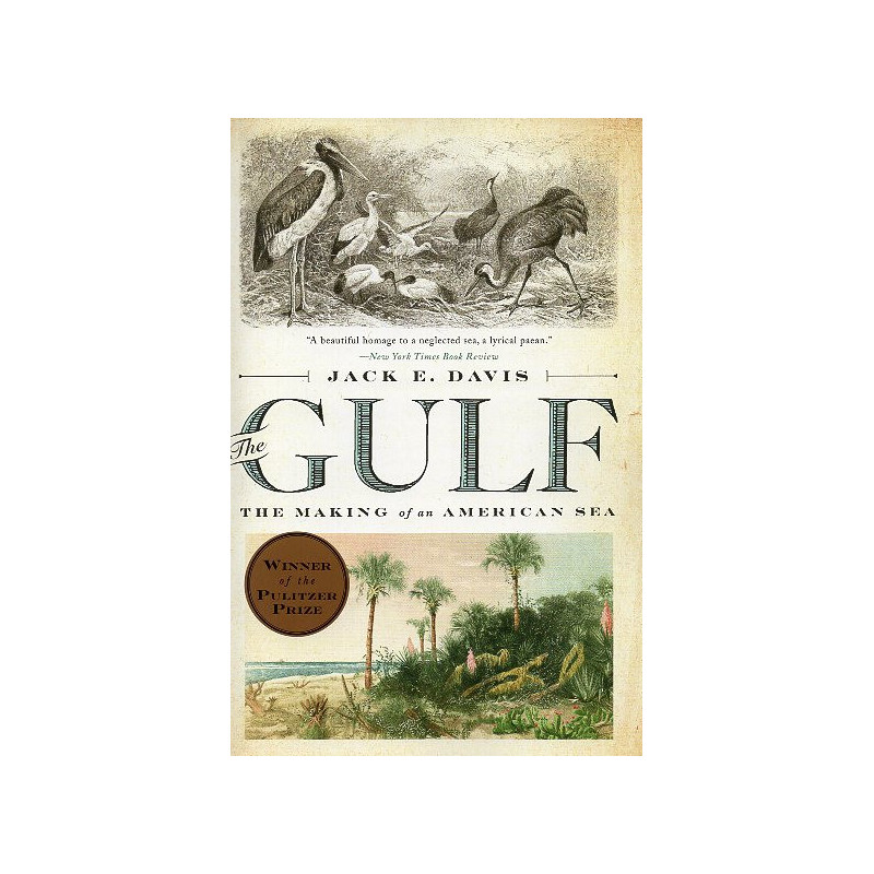The Gulf: The Making of An American Sea